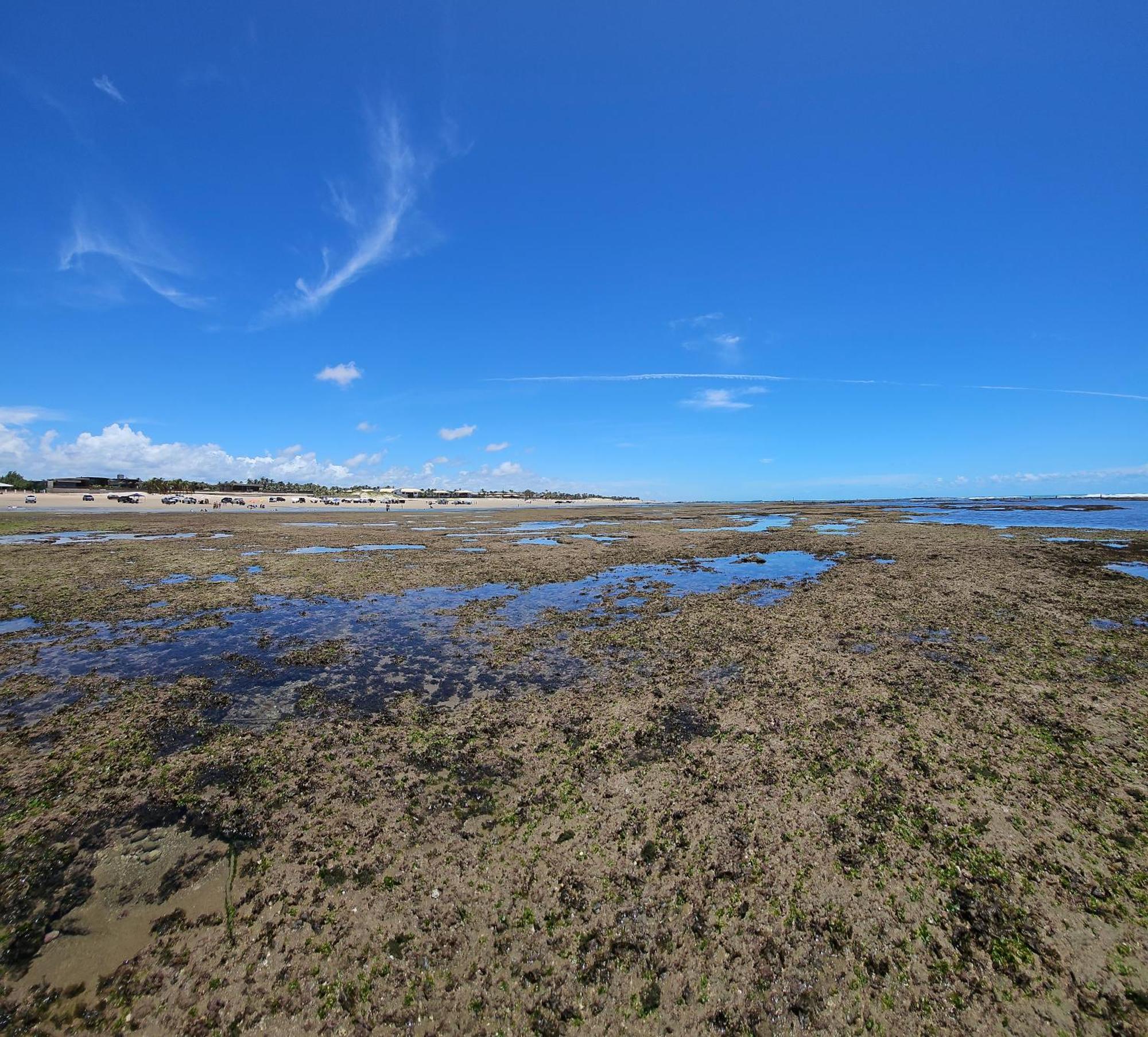 Flebeach Flecheiras Extérieur photo